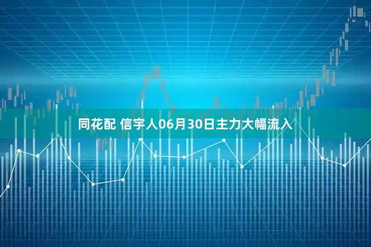 同花配 信宇人06月30日主力大幅流入