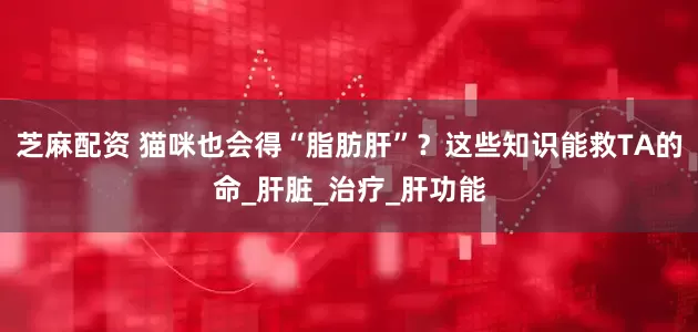芝麻配资 猫咪也会得“脂肪肝”？这些知识能救TA的命_肝脏_治疗_肝功能