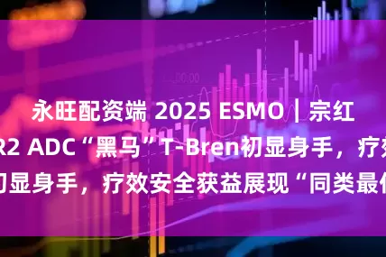 永旺配资端 2025 ESMO︱宗红教授：国产HER2 ADC“黑马”T-Bren初显身手，疗效安全获益展现“同类最佳”信号